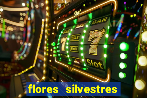 flores silvestres desbravadores desbravadores 25 flores silvestres e seus nomes